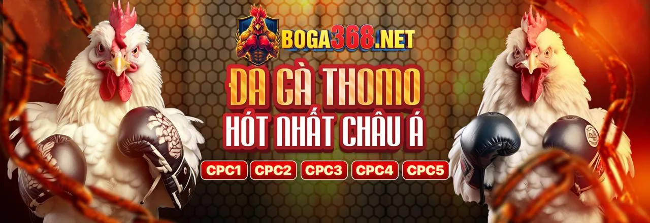 Cập nhật kết quả trực tiếp 1xbetvi